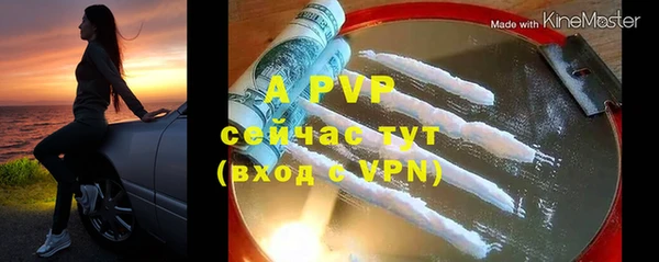 спиды Вязьма