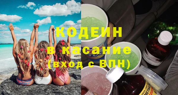 шишки Вяземский
