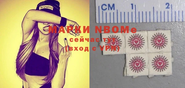 стафф Туринск