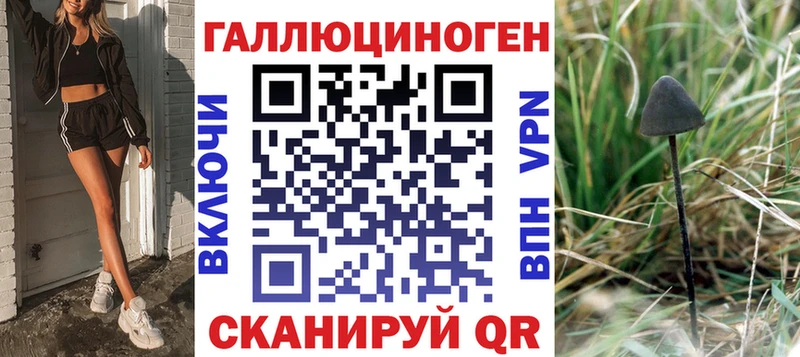 Галлюциногенные грибы Psilocybe  нарко площадка официальный сайт  Заринск 